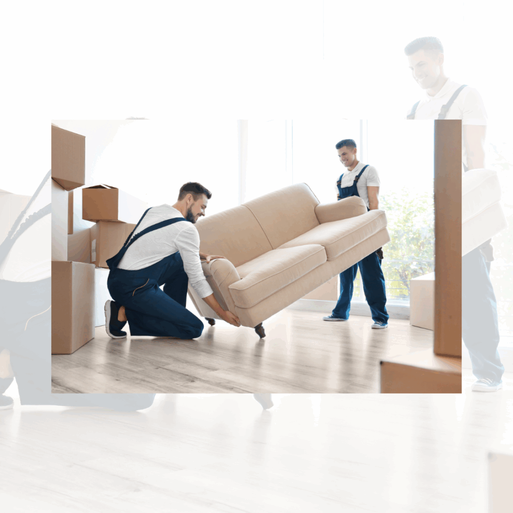 تصميم بدون عنوان(8)