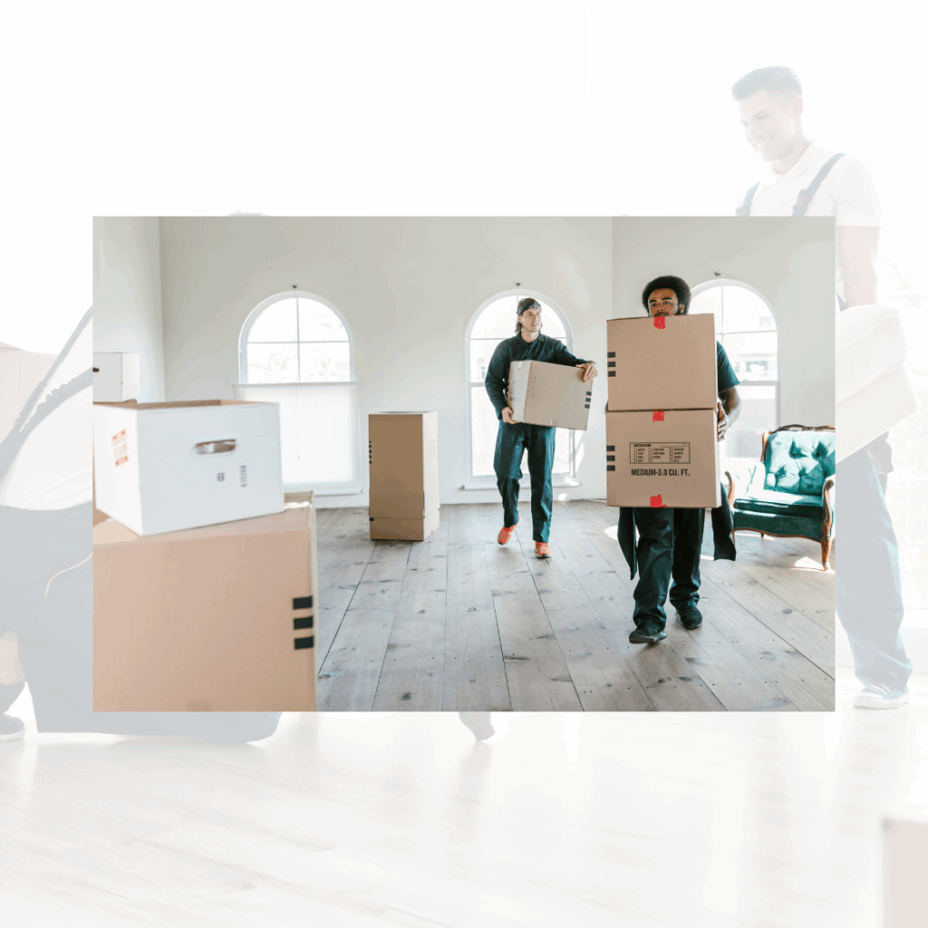 تصميم بدون عنوان(9)